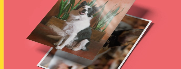 Revelado de fotos clásico